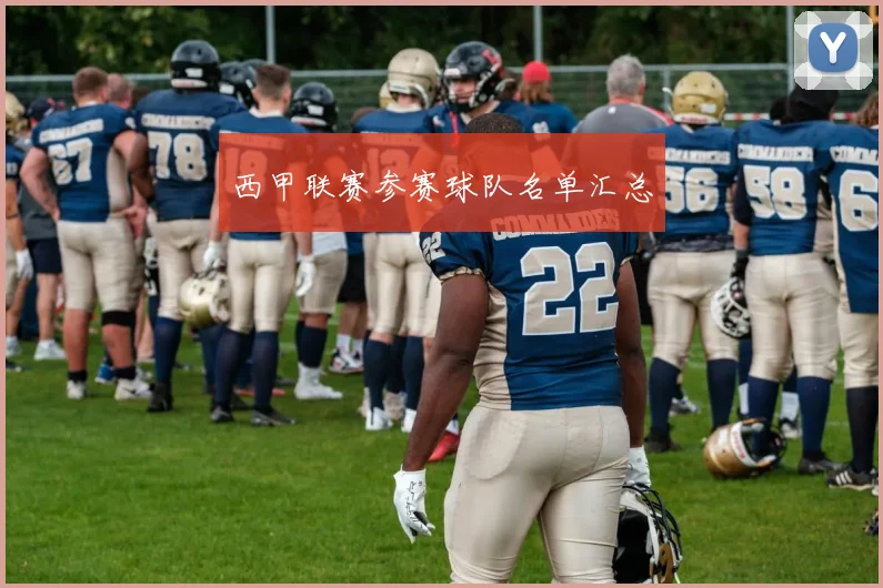西甲联赛参赛球队名单汇总
