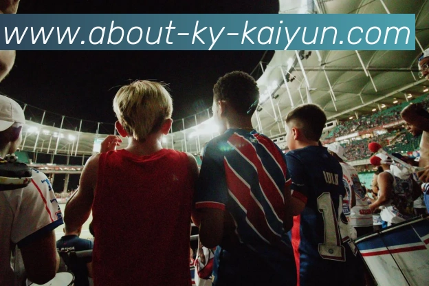 开云app平台生态图