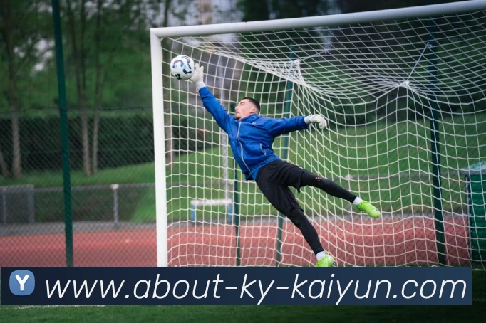 App Interface Preview